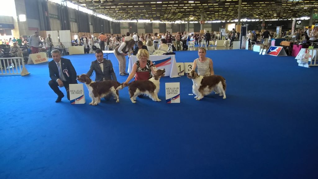 des Hauts de L'Espinouse - Championnat de France